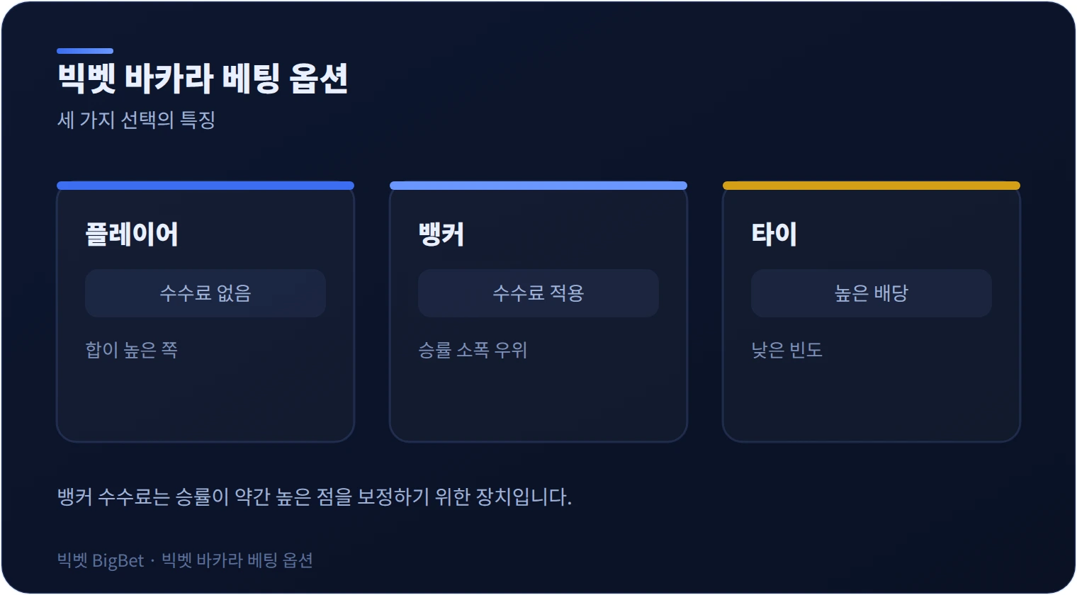 빅벳 바카라 플레이어·뱅커·타이 베팅 옵션 비교 그래픽