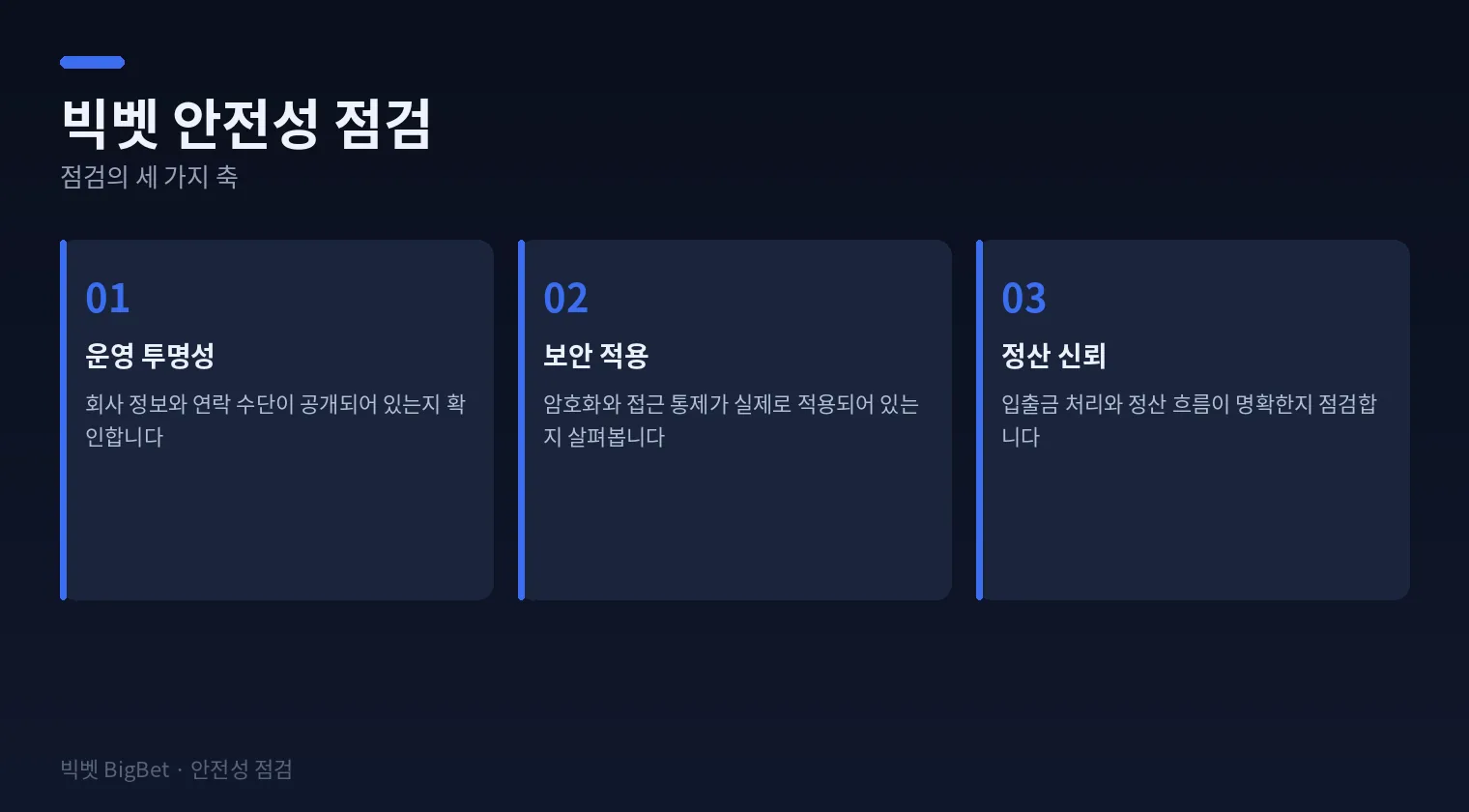 빅벳 안전성 점검의 세 가지 축을 정리한 다이어그램
