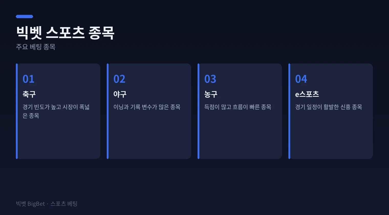 빅벳 스포츠 주요 종목을 정리한 다이어그램